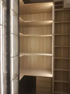 Dressing Room: illuminated dressing room cabinetry and glass doors (view 3)