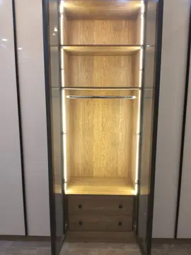 Dressing Room: illuminated dressing room cabinetry and glass doors (view 5)